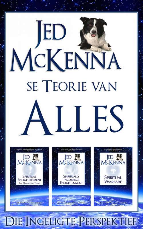 Book cover of Jed McKenna se Teorie van Alles: Die Ingeligte Perspektief