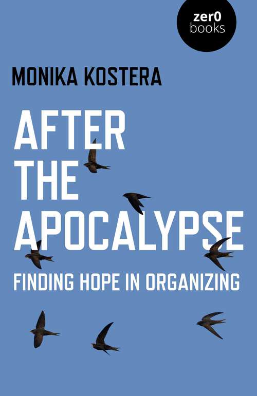 Book cover of After The Apocalypse: Finding Hope in Organizing