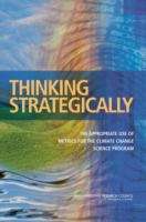 Book cover of Thinking Strategically: The Appropriate Use Of Metrics For The Climate Change Science Program