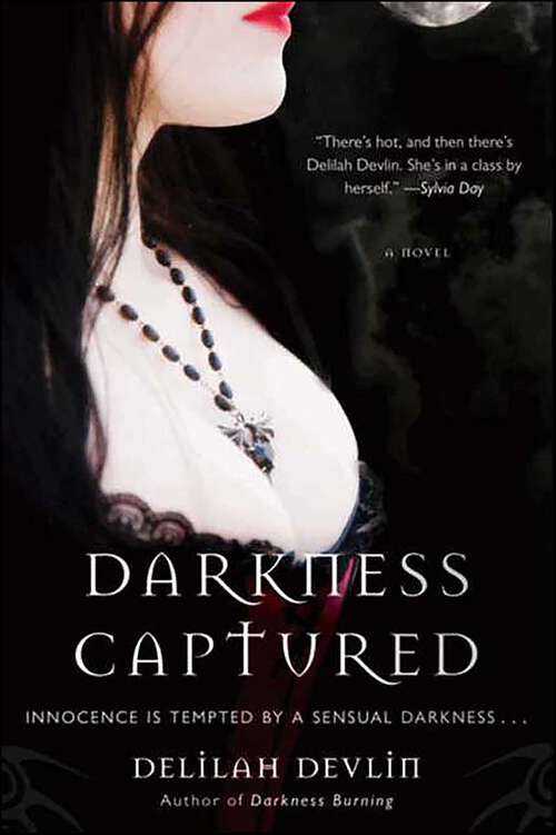 Book cover of Darkness Captured
