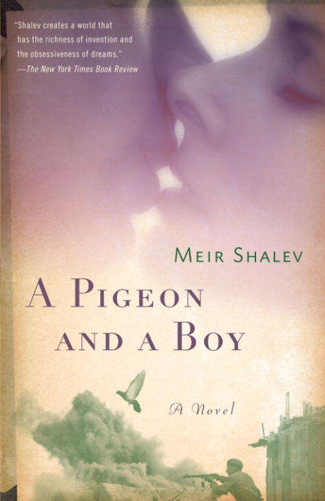 Book cover of A Pigeon and a Boy