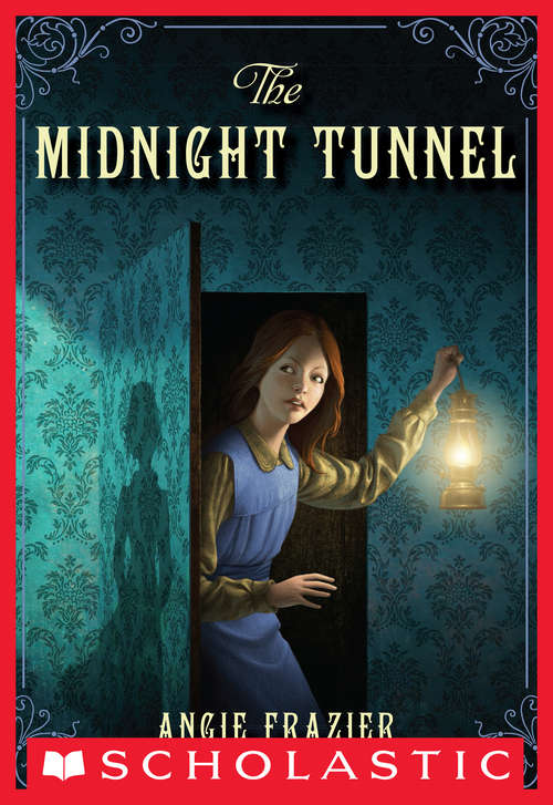 Book cover of The Midnight Tunnel: A Suzanna Snow Mystery