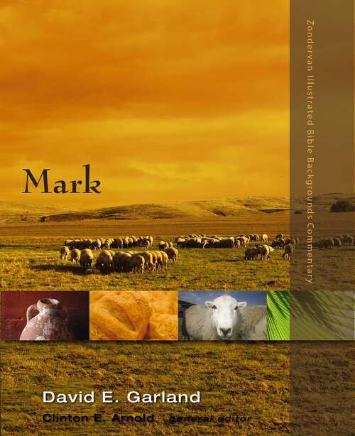 Book cover of Matthew (Zondervan Illustrated Bible Backgrounds Commentary)