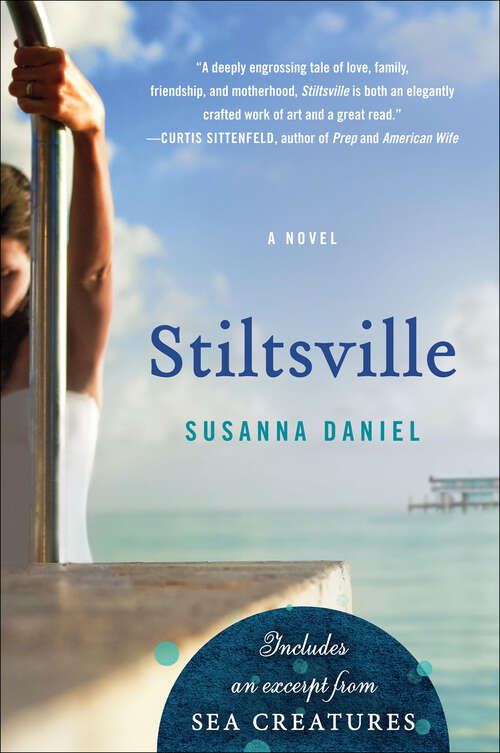 Book cover of Stiltsville: A Novel