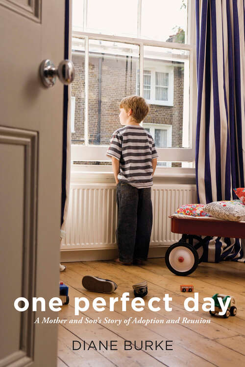One Perfect Day: A Mother and Son's Story of Adoption and Reunion