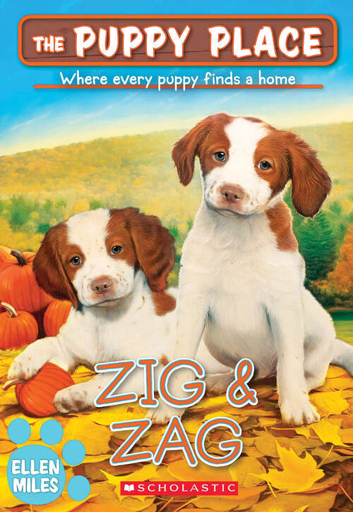 Book cover of Zig & Zag (The Puppy Place)
