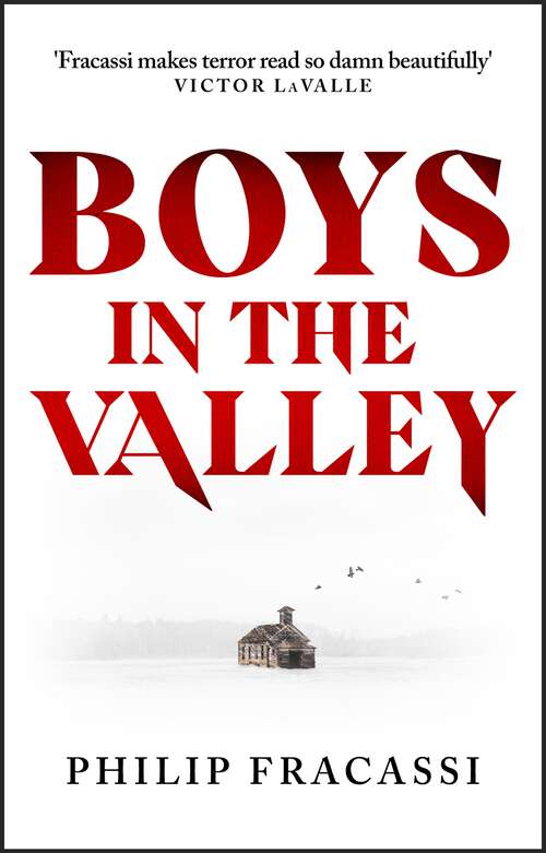 Book cover of Boys in the Valley