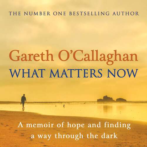 Book cover of What Matters Now: A Memoir of Hope and Finding a Way Through the Dark