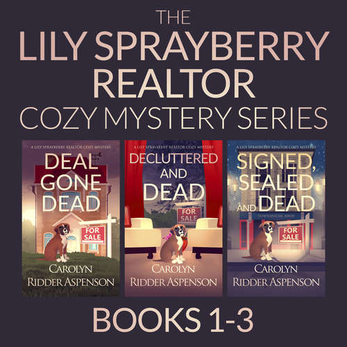 Book cover of The Lily Sprayberry Cozy Mystery Series Books 1–3: Deal Gone Dead; Decluttered and Dead; and Signed, Sealed and Dead (The Lily Sprayberry Realtor Cozy Mystery Novellas)