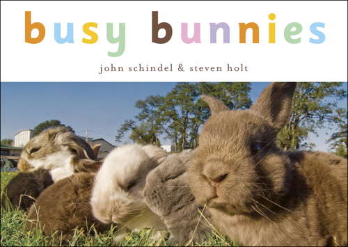 Book cover of Busy Bunnies