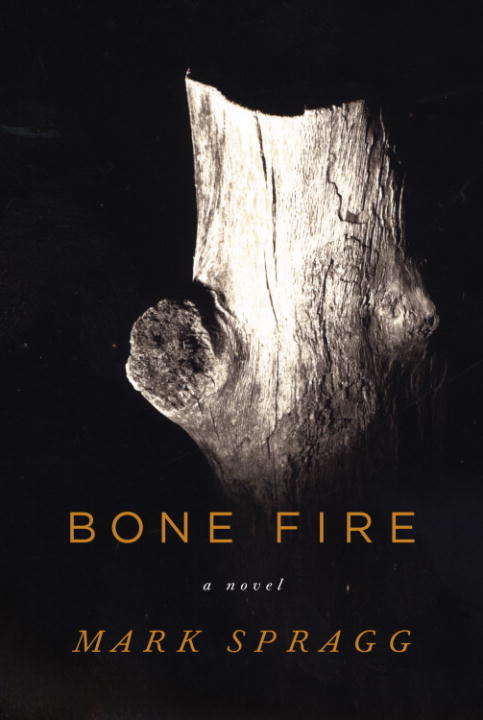 Book cover of Bone Fire