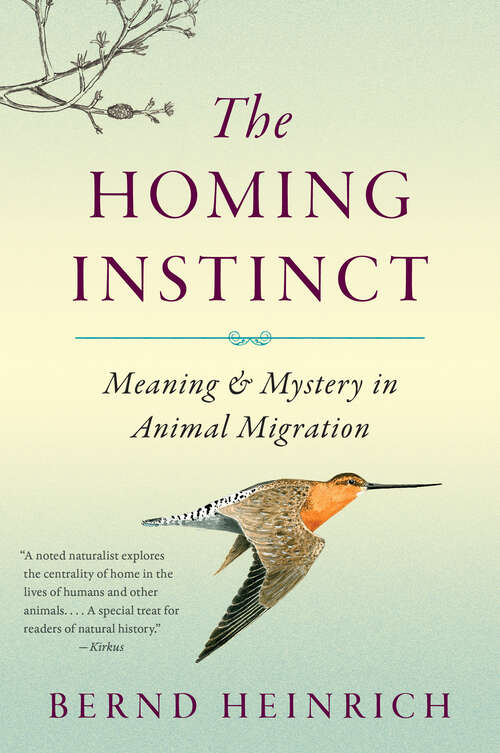 Book cover of The Homing Instinct: Meaning and Mystery in Animal Migration