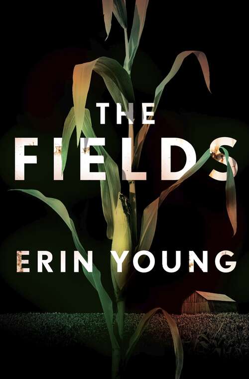 Book cover of The Fields