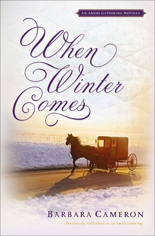 Book cover of When Winter Comes