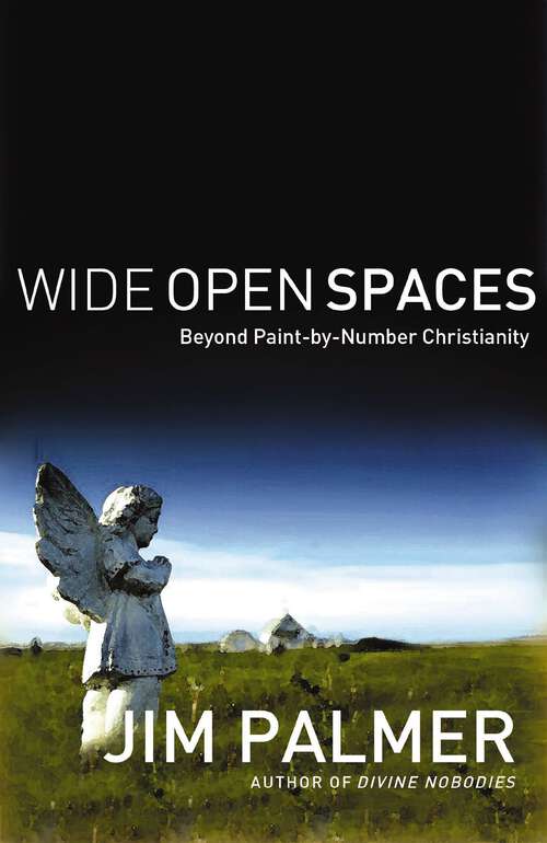 Book cover of Wide Open Spaces: Beyond Paint-by-Number Christianity