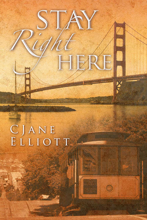 Book cover of Stay Right Here
