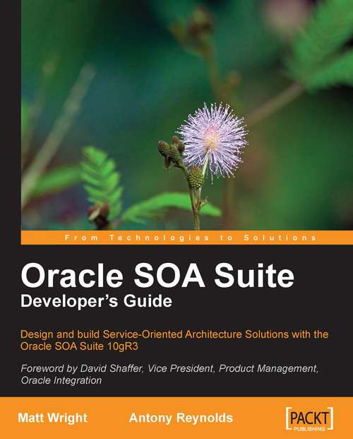 Oracle SOA Suite Developer's Guide