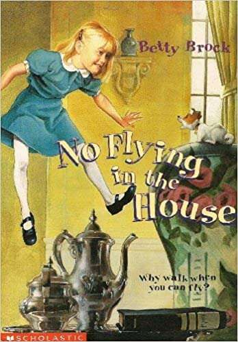 Book cover of No Flying in the House