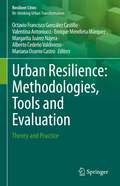 Urban Resilience: Theory And Practice (Resilient Cities Series)
