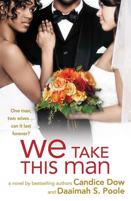 Book cover of We Take this Man