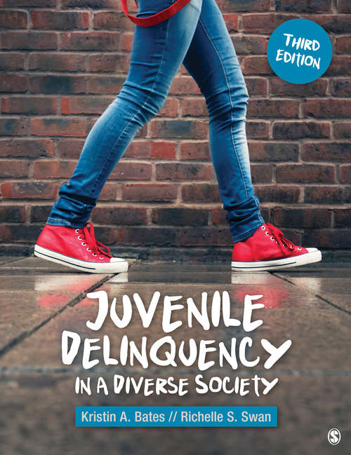 Book cover of Juvenile Delinquency in a Diverse Society (Third Edition)