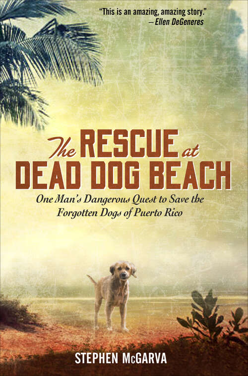 Book cover of The Rescue at Dead Dog Beach
