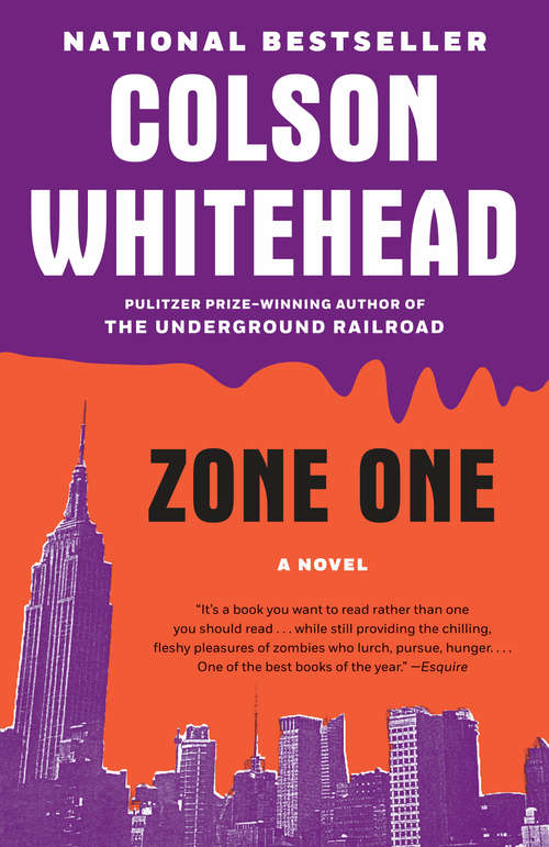 Book cover of Zone One: A Novel