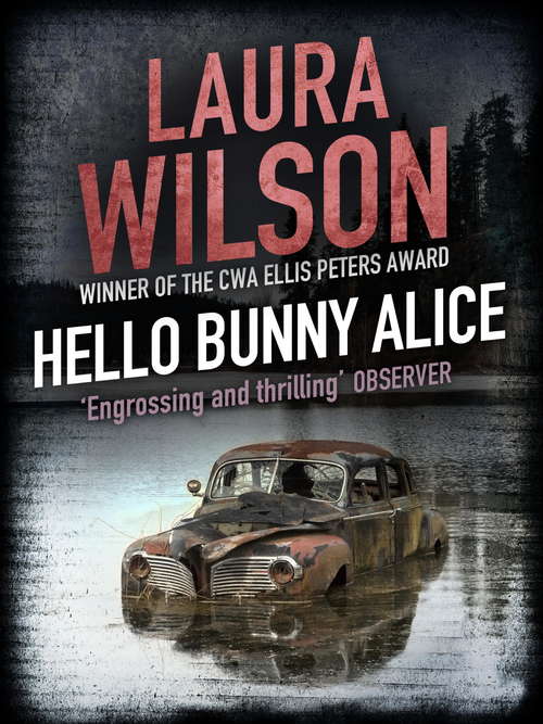 Book cover of Hello Bunny Alice