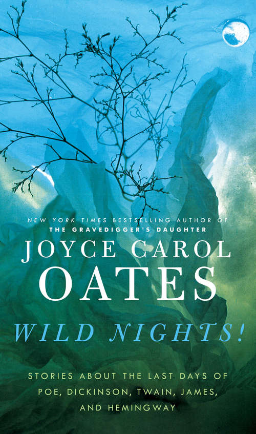 Book cover of Wild Nights!