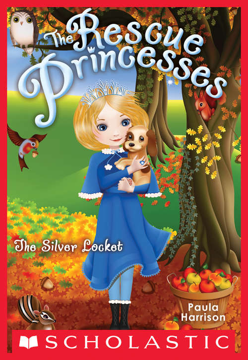 Book cover of Rescue Princesses #9: The Silver Locket