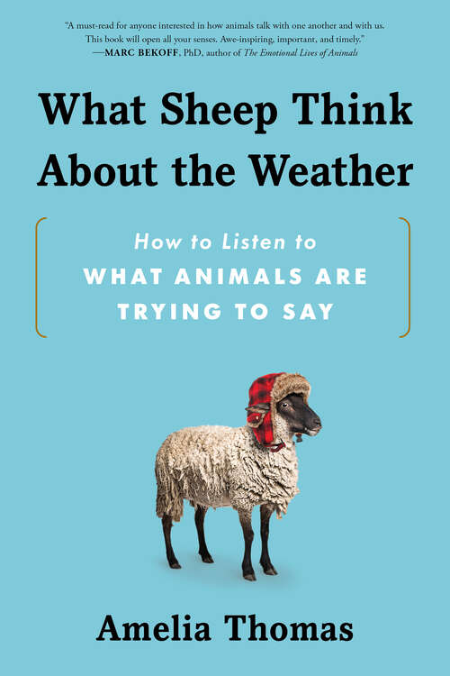 Book cover of What Sheep Think About the Weather: How to Listen to What Animals Are Trying to Say