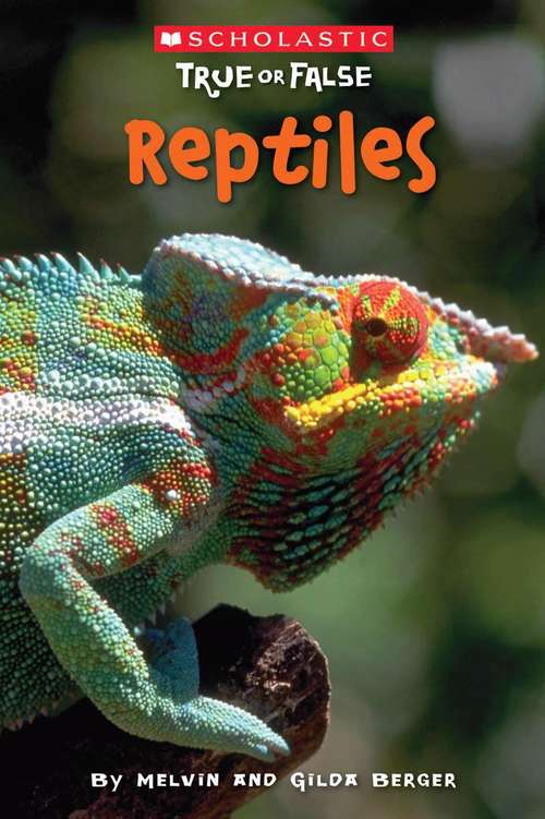 Book cover of Reptiles (Fountas & Pinnell LLI Blue)