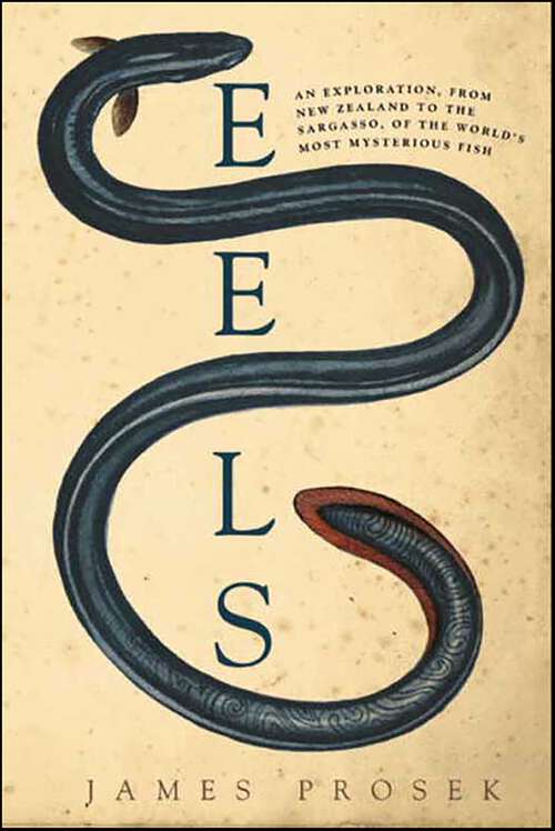 Book cover of Eels: An Exploration, from New Zealand to the Sargasso, of the World's Most Mysterious Fish