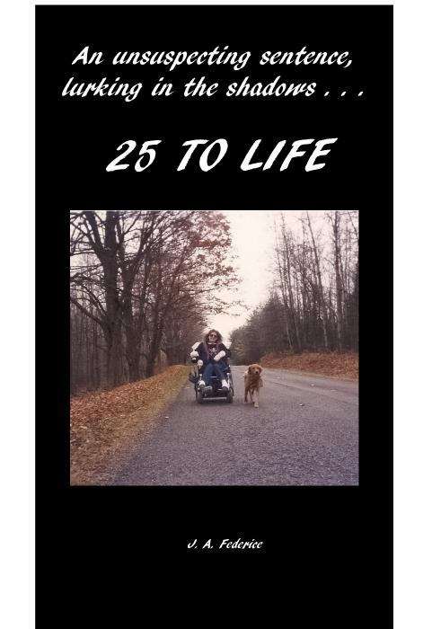Book cover of 25 to Life