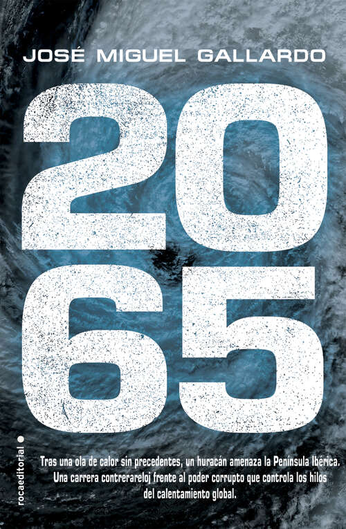 Book cover of 2065