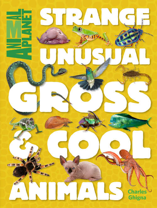 Book cover of Strange, Unusual, Gross & Cool Animals (An Animal Planet Book)
