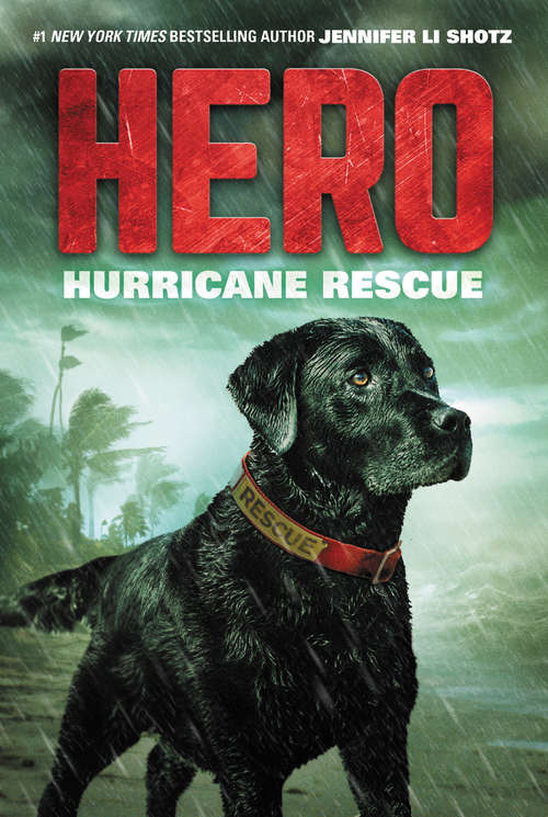 Book cover of Hero: Hurricane Rescue