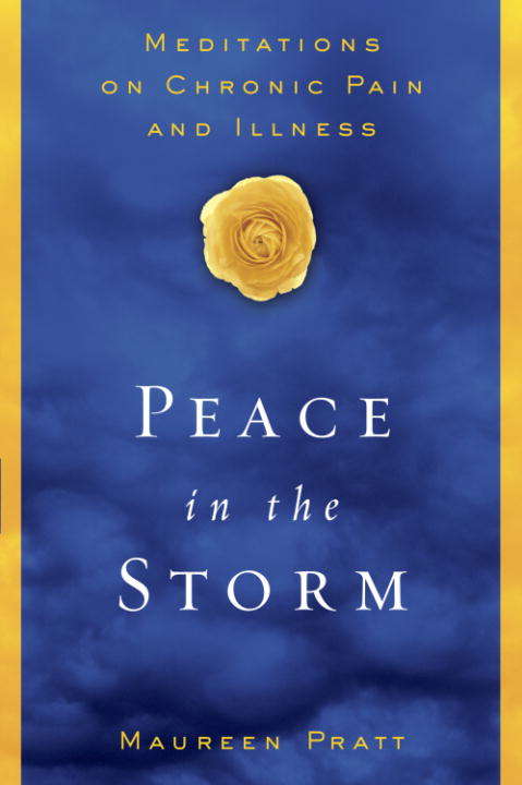 Book cover of Peace in the Storm