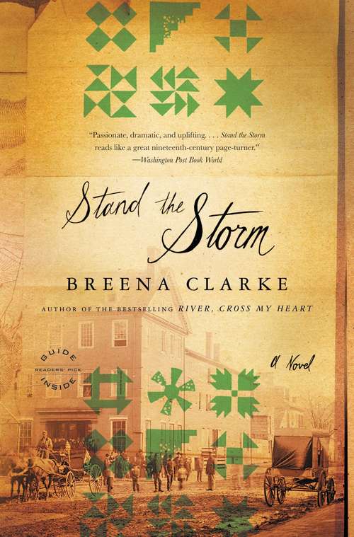 Book cover of Stand the Storm