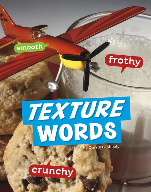 Book cover of Texture Words (Word Play)