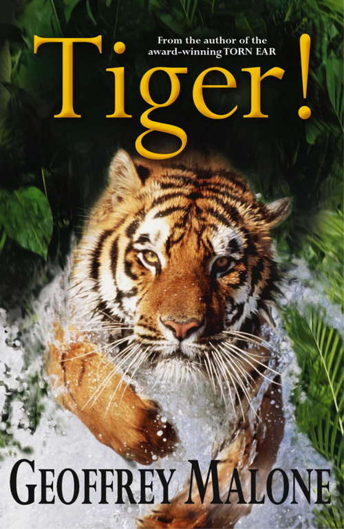 Book cover of Stories from the Wild 8: Tiger