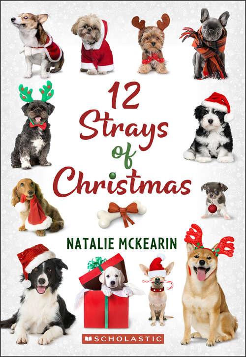 Book cover of 12 Strays of Christmas: A Wish Novel