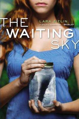 Book cover of The Waiting Sky