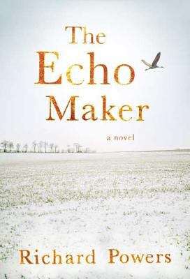 Book cover of The Echo Maker