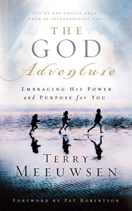 Book cover of The God Adventure