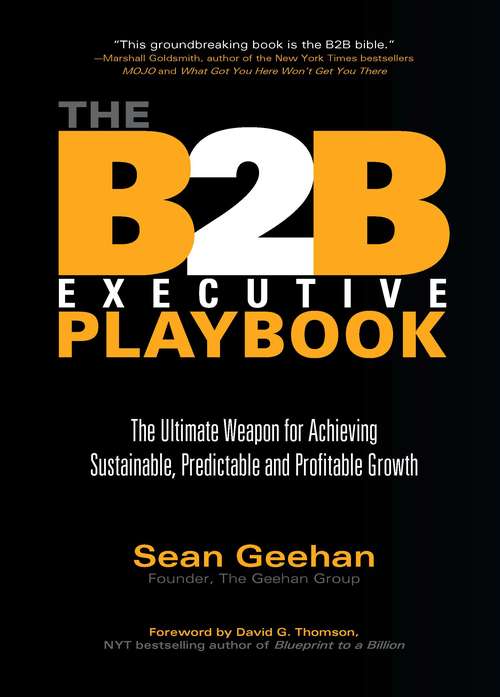 Book cover of The B2B Executive Playbook