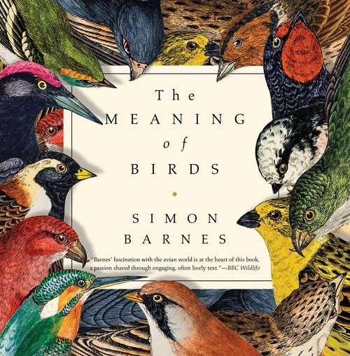 Book cover of The Meaning of Birds