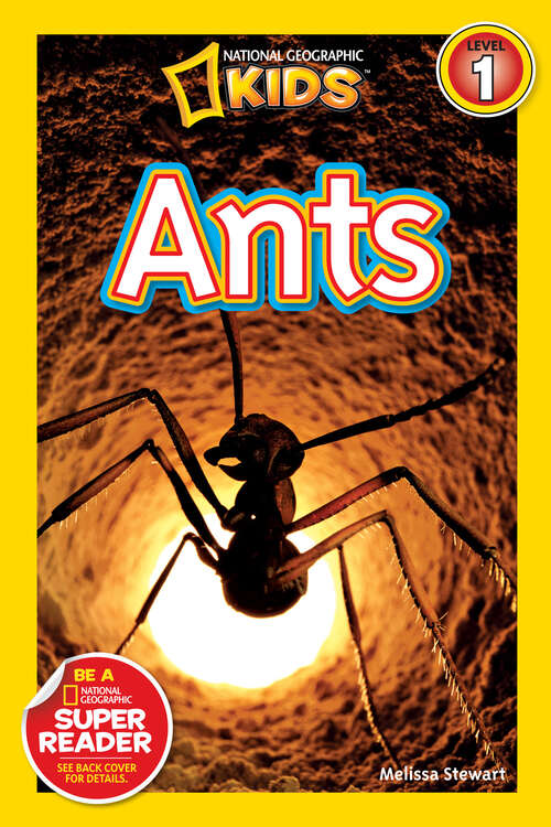 Book cover of Ants (Readers)