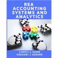 REA Accounting Systems and Analytics