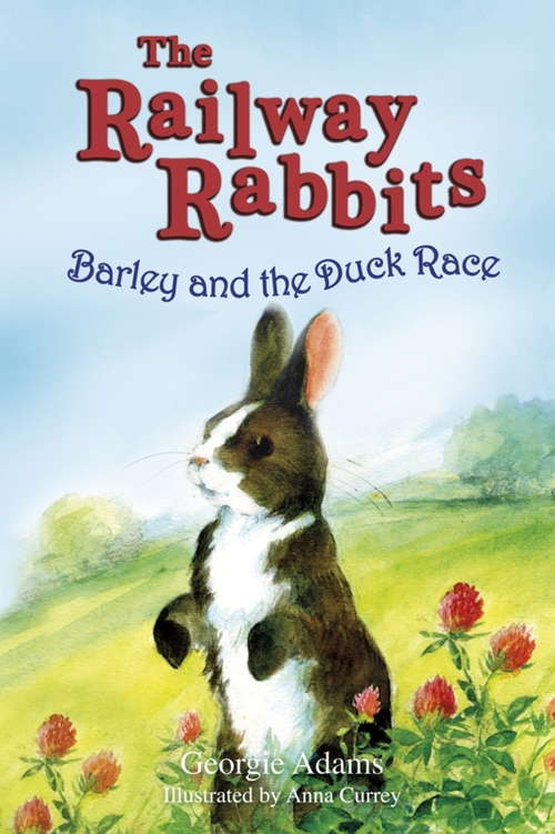 Book cover of Barley and the Duck Race: Book 9
